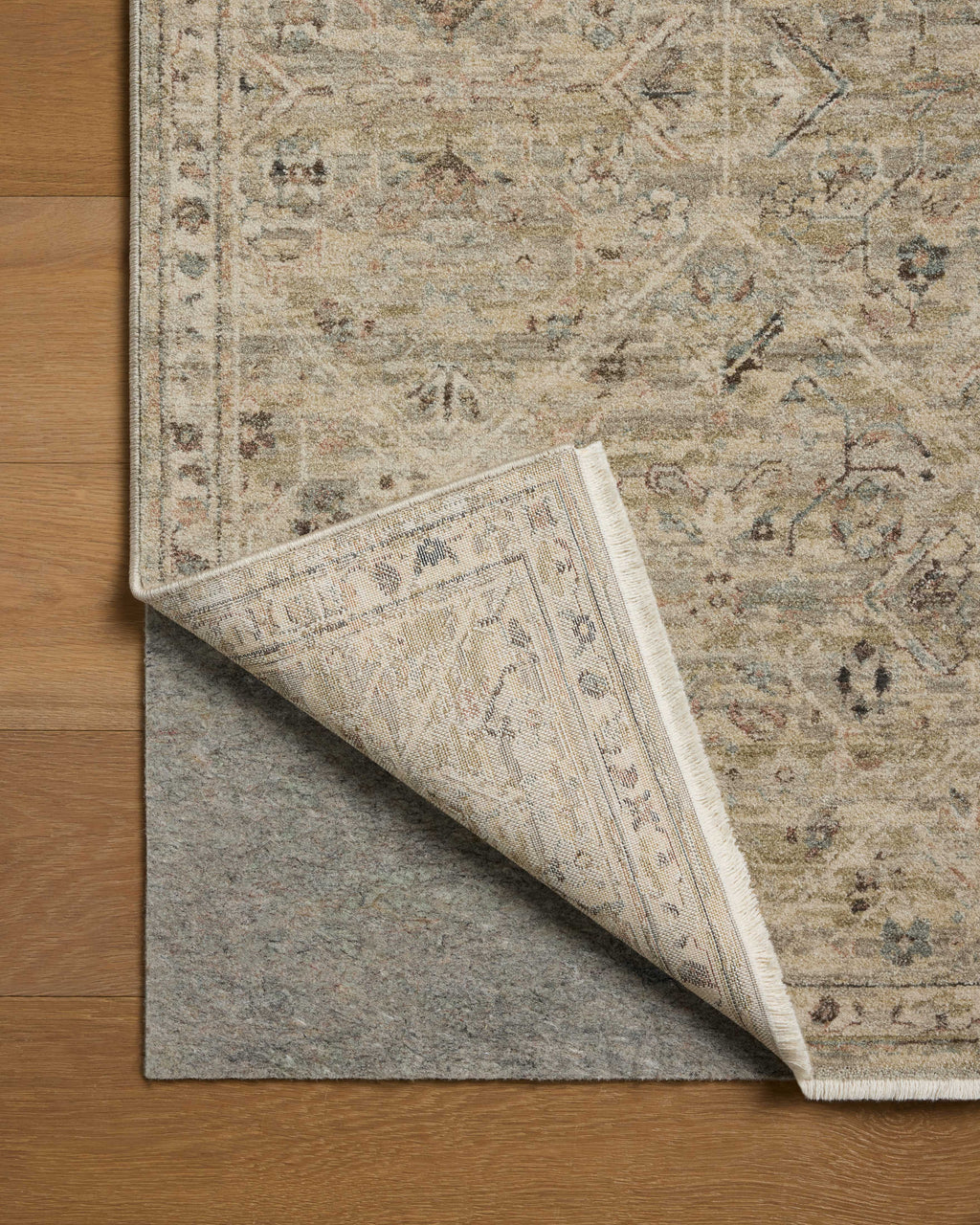 Loloi Briar Area Rug