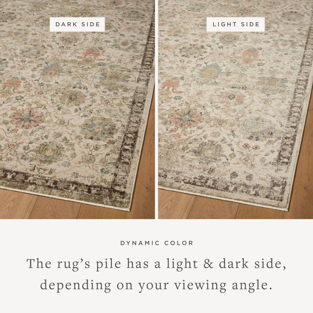 Loloi Briar Area Rug