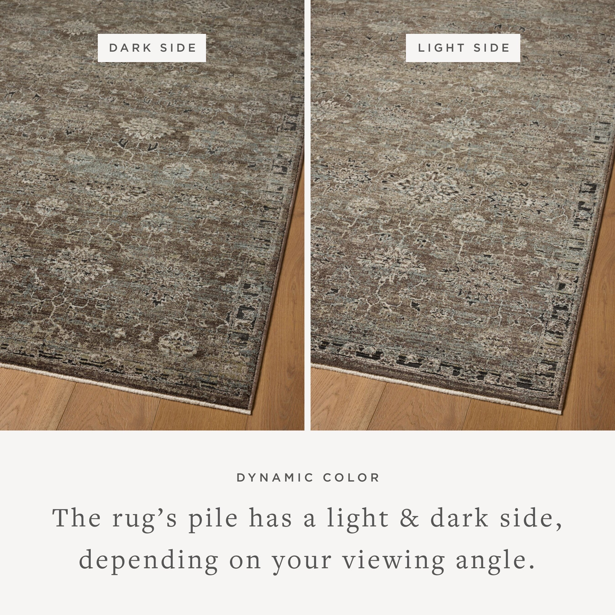 Loloi Briar Area Rug