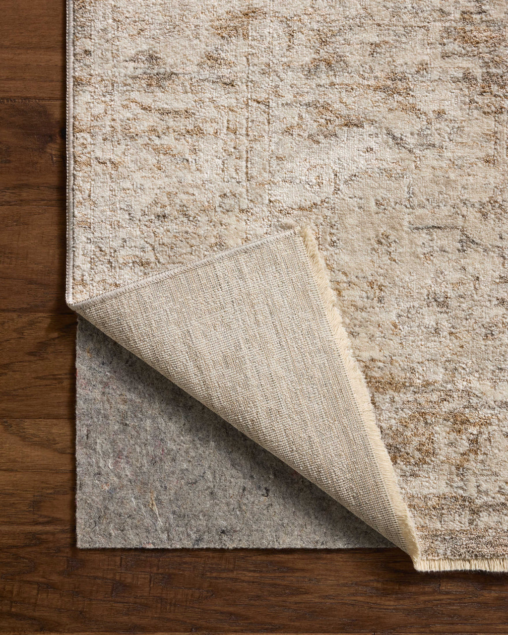 Loloi Clarisse Runner Rug