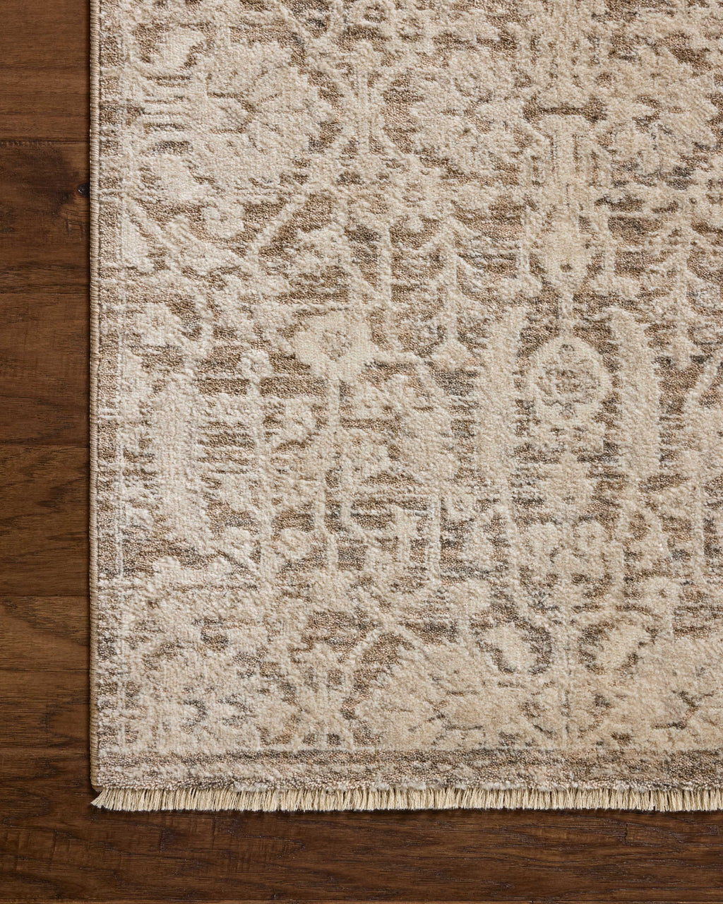 Loloi Clarisse Sample Rug