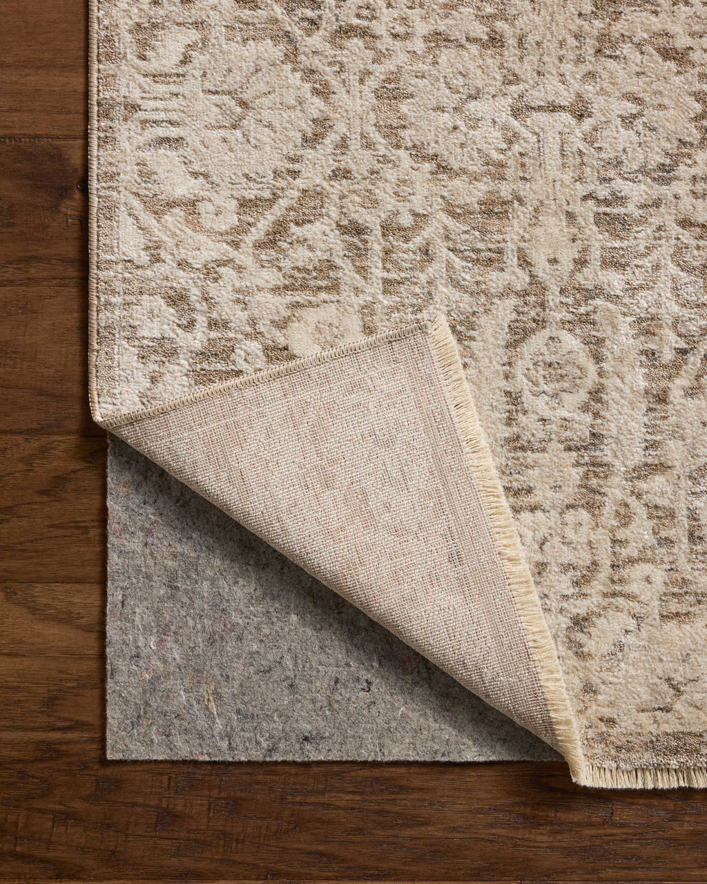 Loloi Clarisse Runner Rug