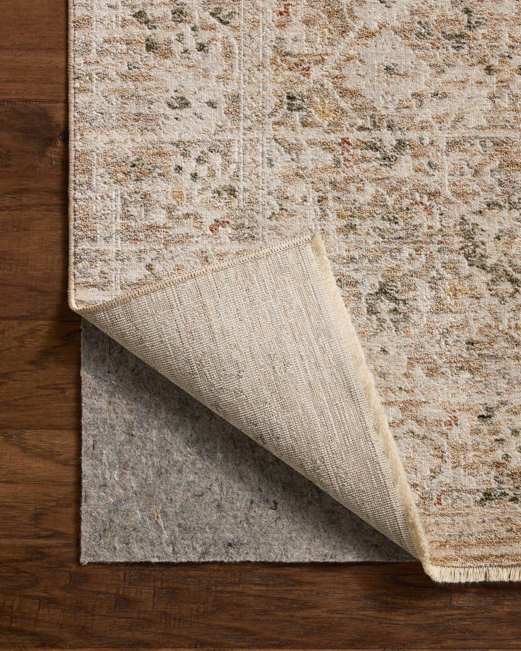 Loloi Clarisse Sample Rug