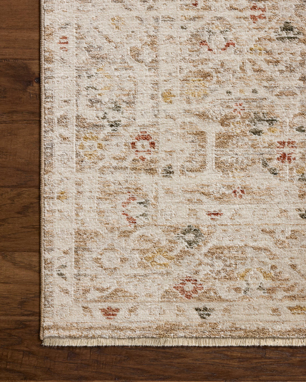 Loloi Clarisse Sample Rug