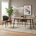 Moe's Home Delaney Dining Chair