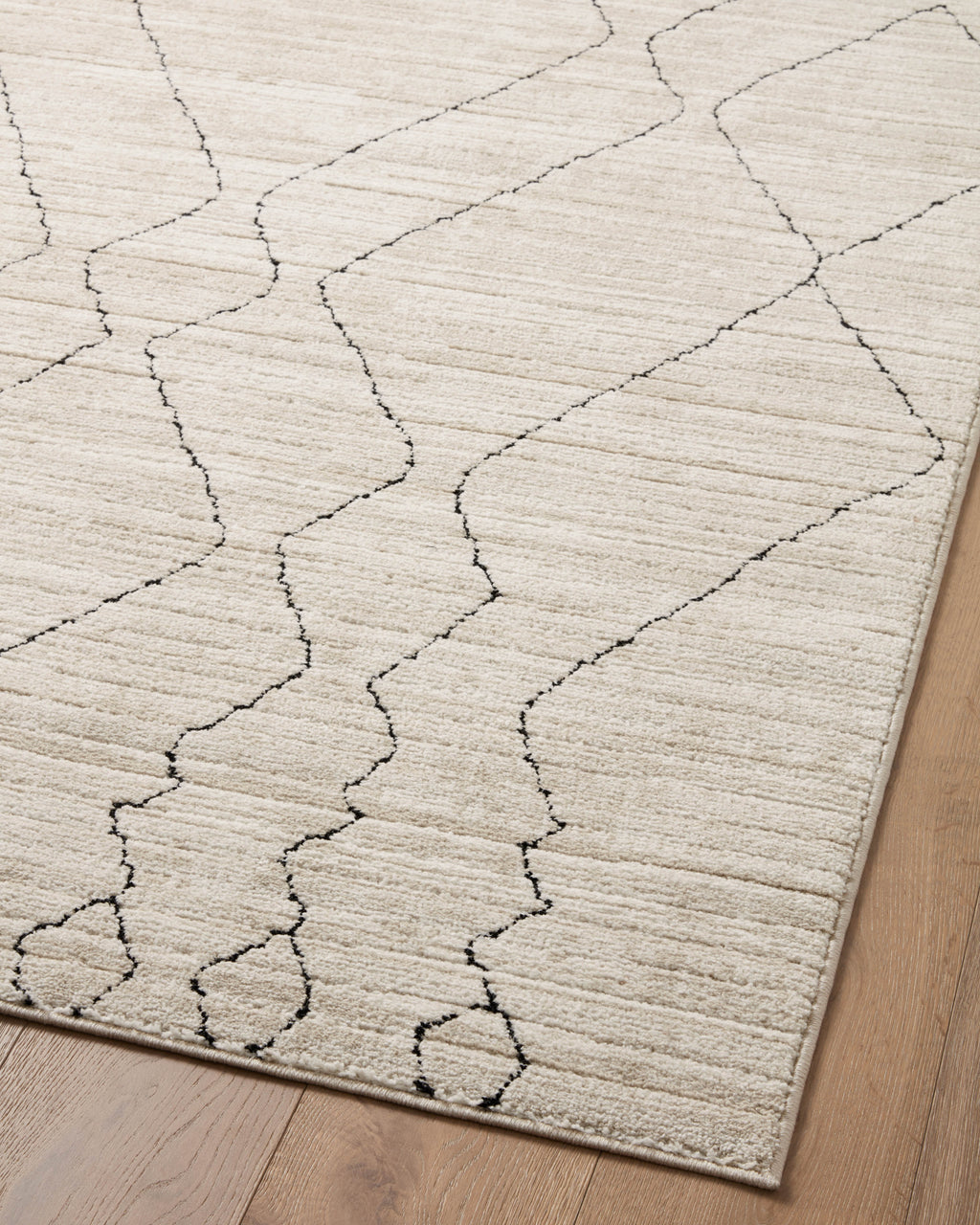 Loloi Darby Sample Rug