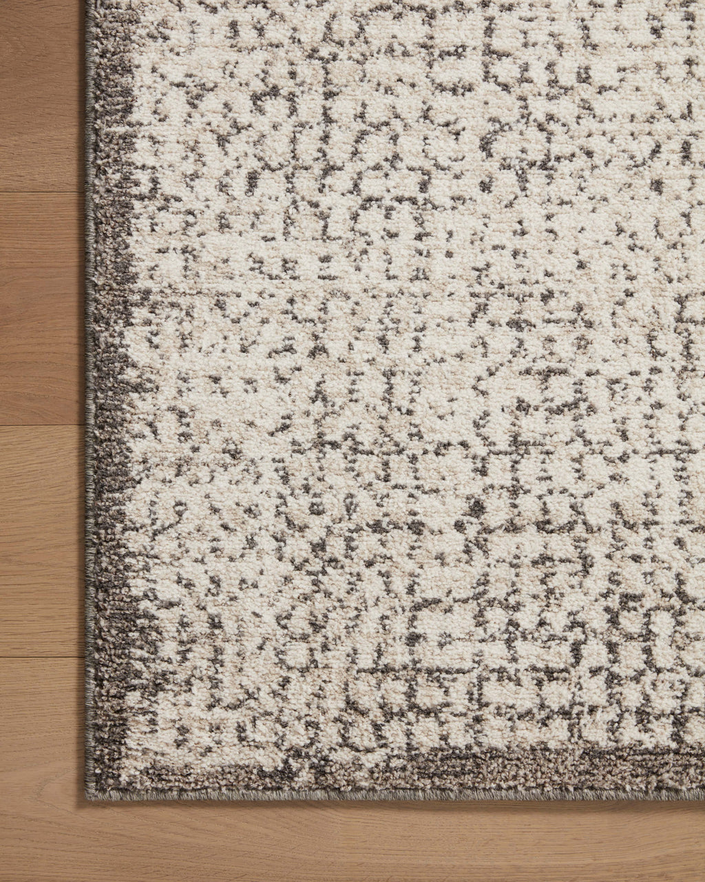 Loloi Darby Area Rug