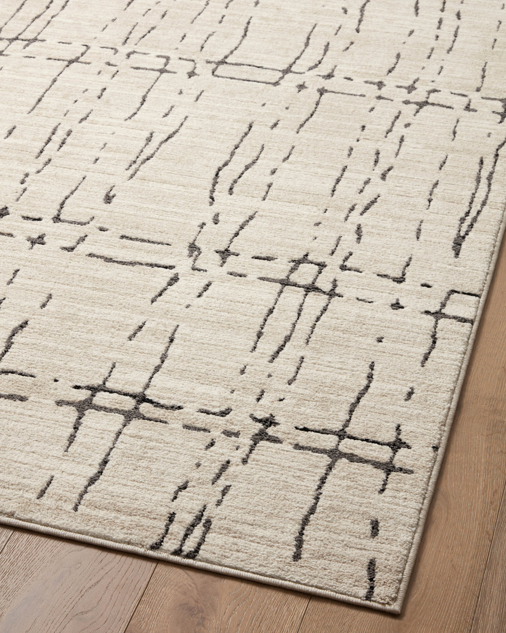 Loloi Darby Sample Rug