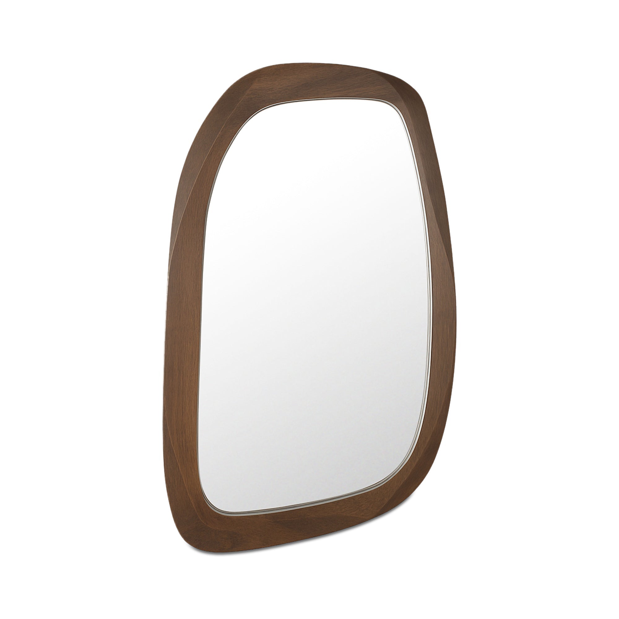 Moe's Home Levi Mirror Brown
