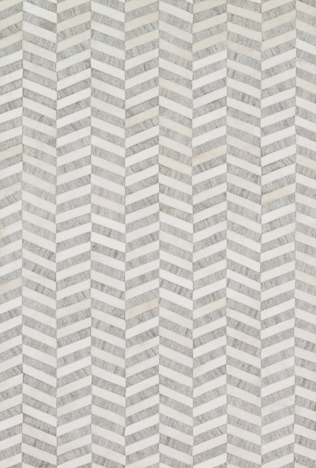 Loloi Dorado Area Rug (DB-01)