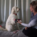 Red Light Therapy for Dogs Leg Wrap