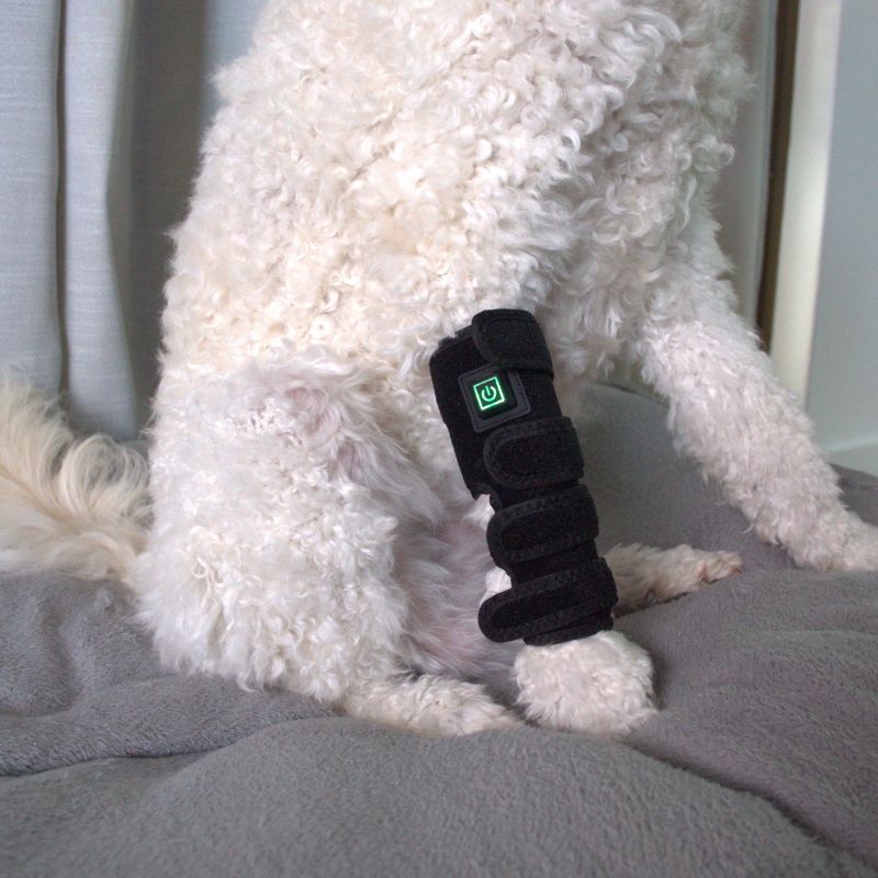 Red Light Therapy for Dogs Leg Wrap