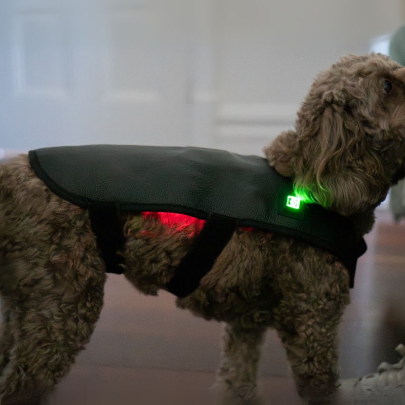 Small Red Light Therapy for Dogs Coat