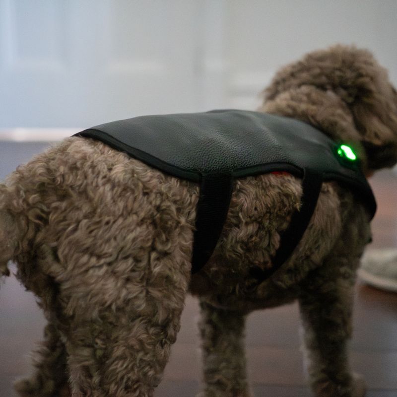 Small Red Light Therapy for Dogs Coat