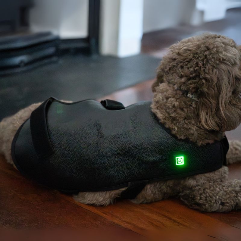 Small Red Light Therapy for Dogs Coat