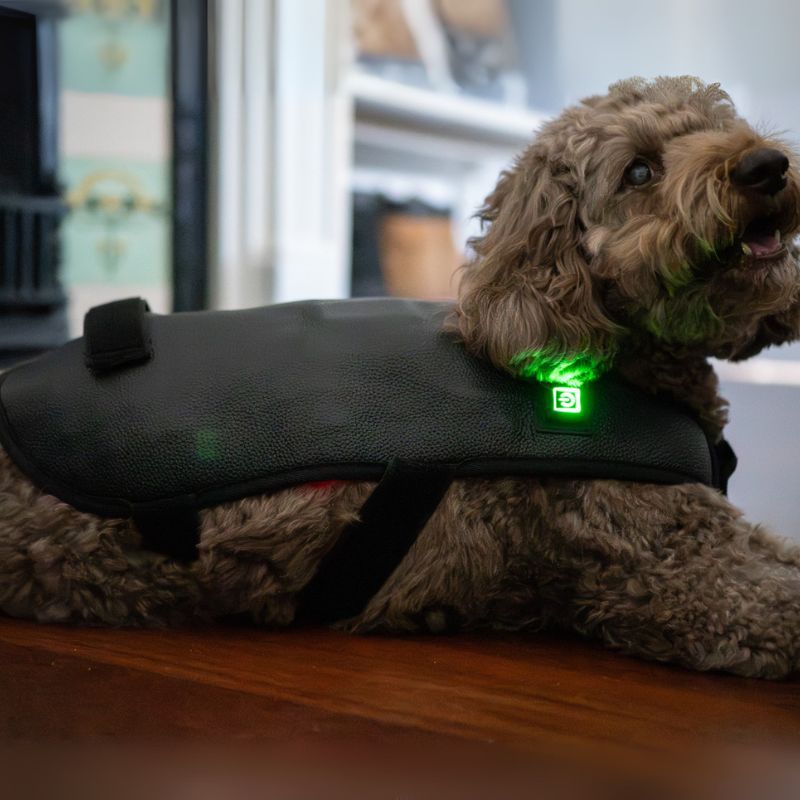 Small Red Light Therapy for Dogs Coat