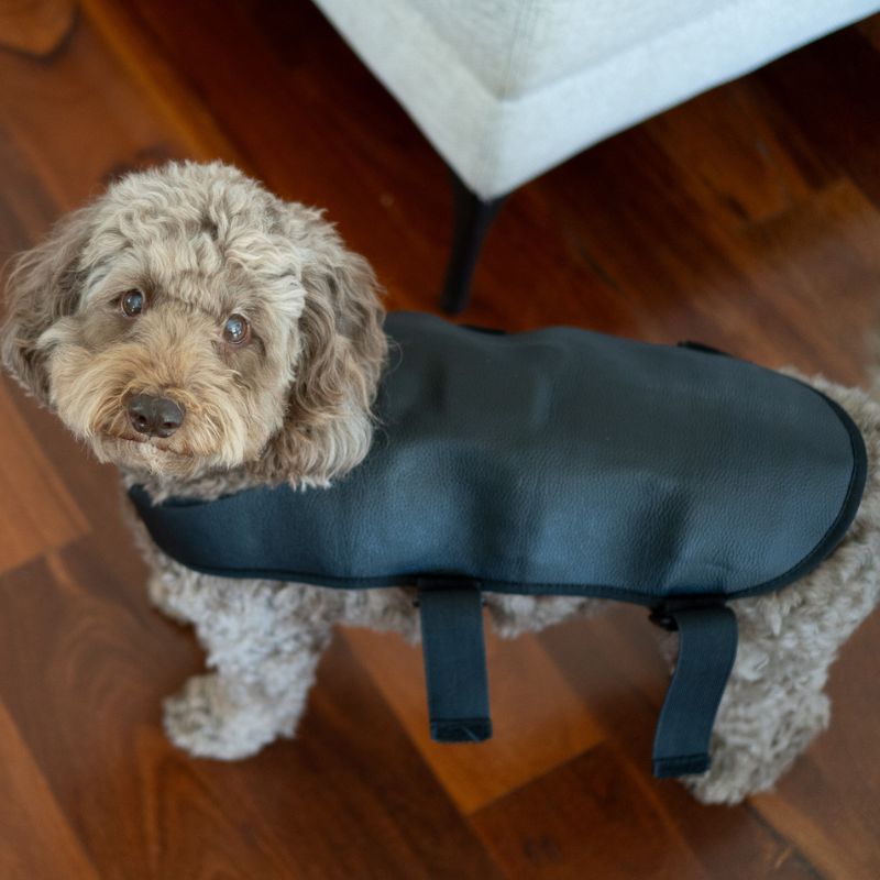 Small Red Light Therapy for Dogs Coat