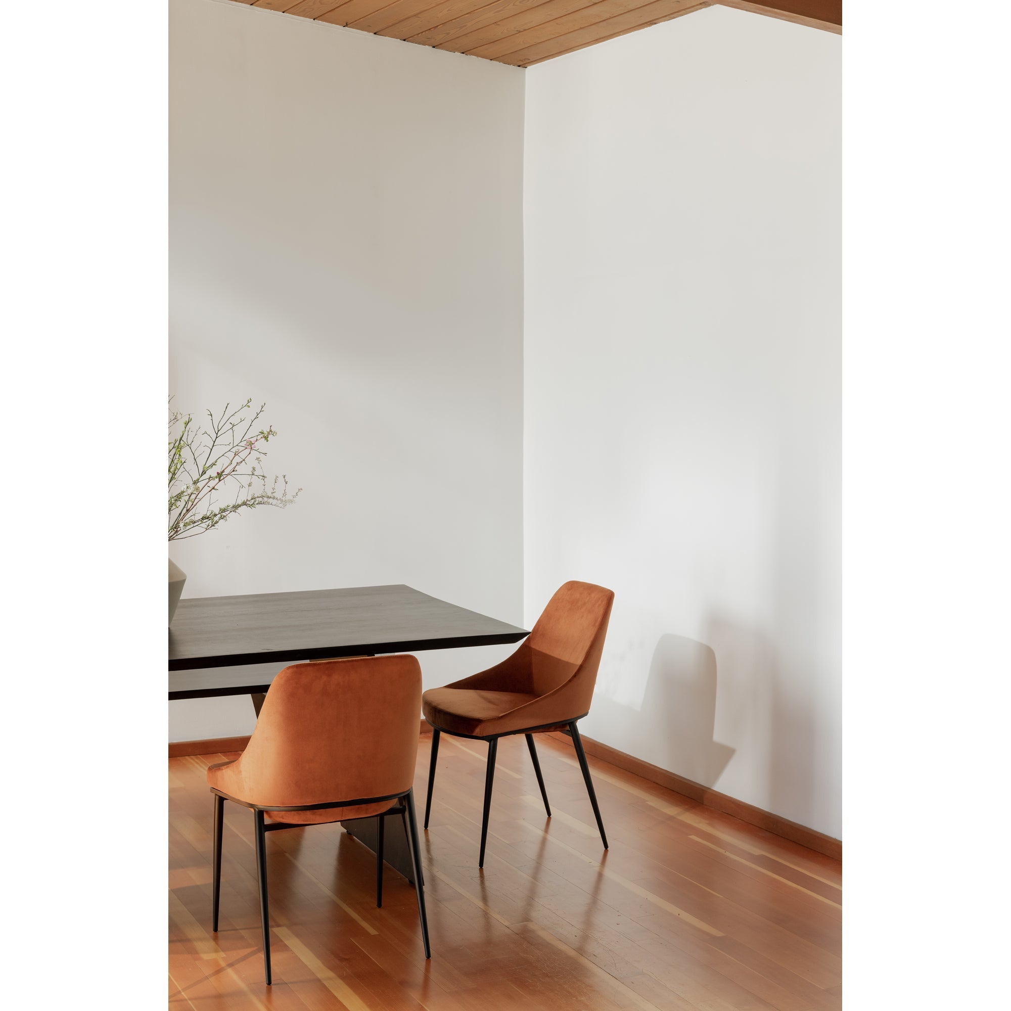 Moe's Home Sedona Dining Chair Amber - Set of Two