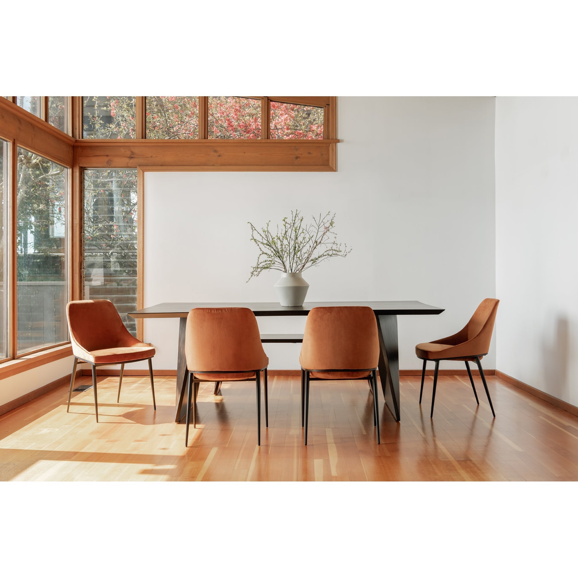 Moe's Home Sedona Dining Chair Amber - Set of Two
