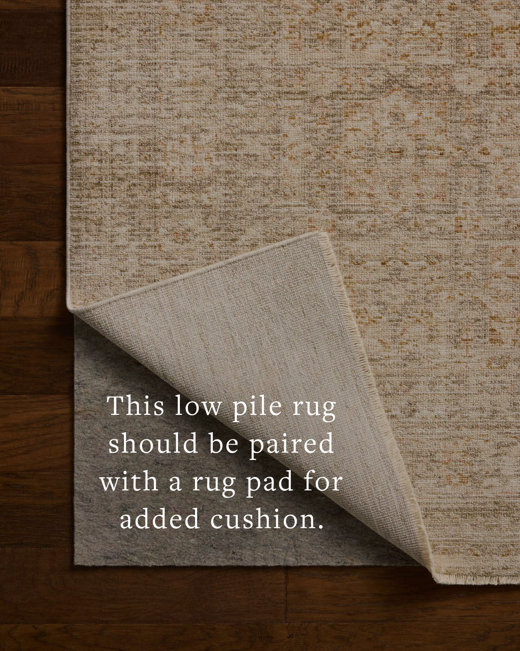 Loloi Elora Runner Rug