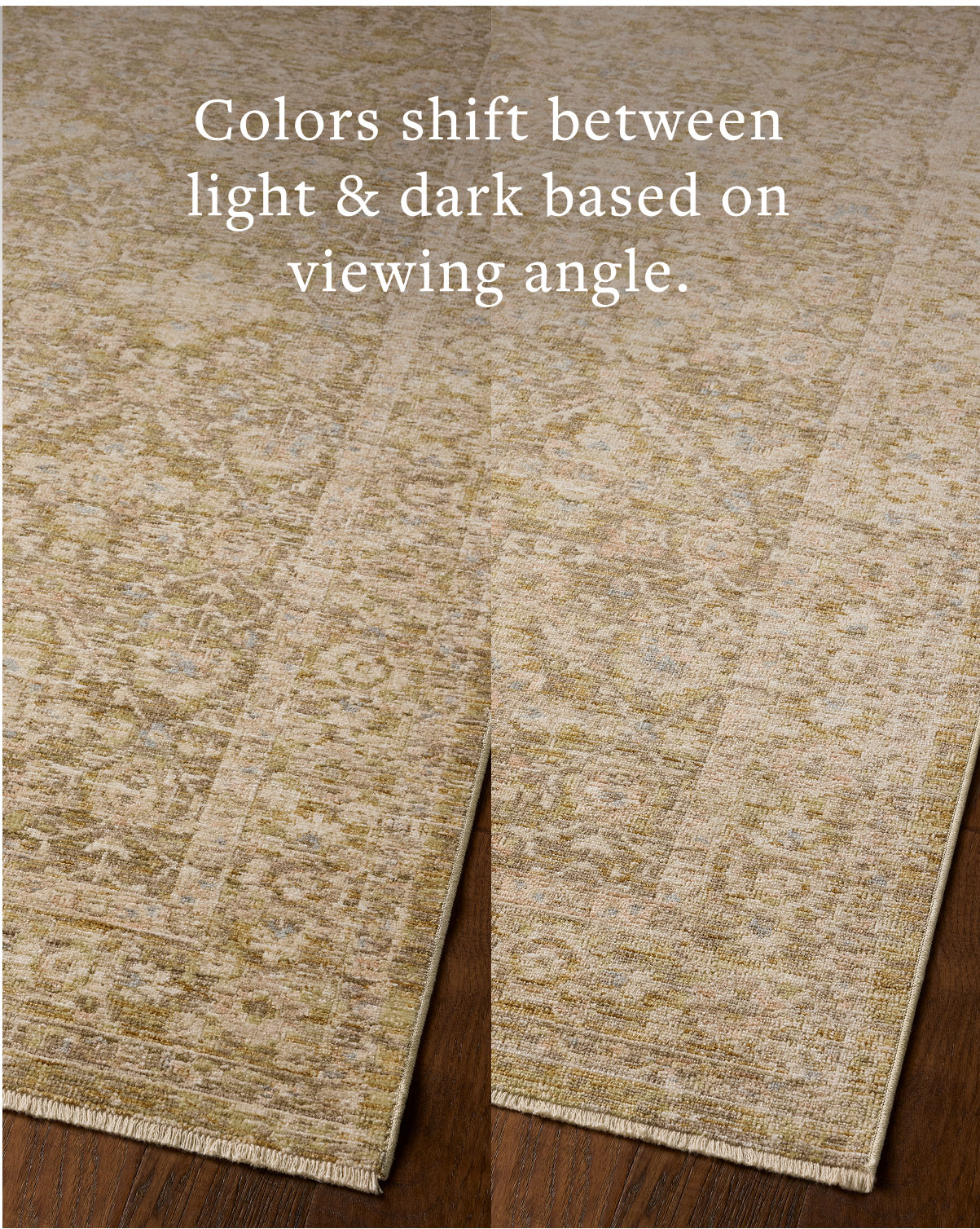 Loloi Elora Runner Rug