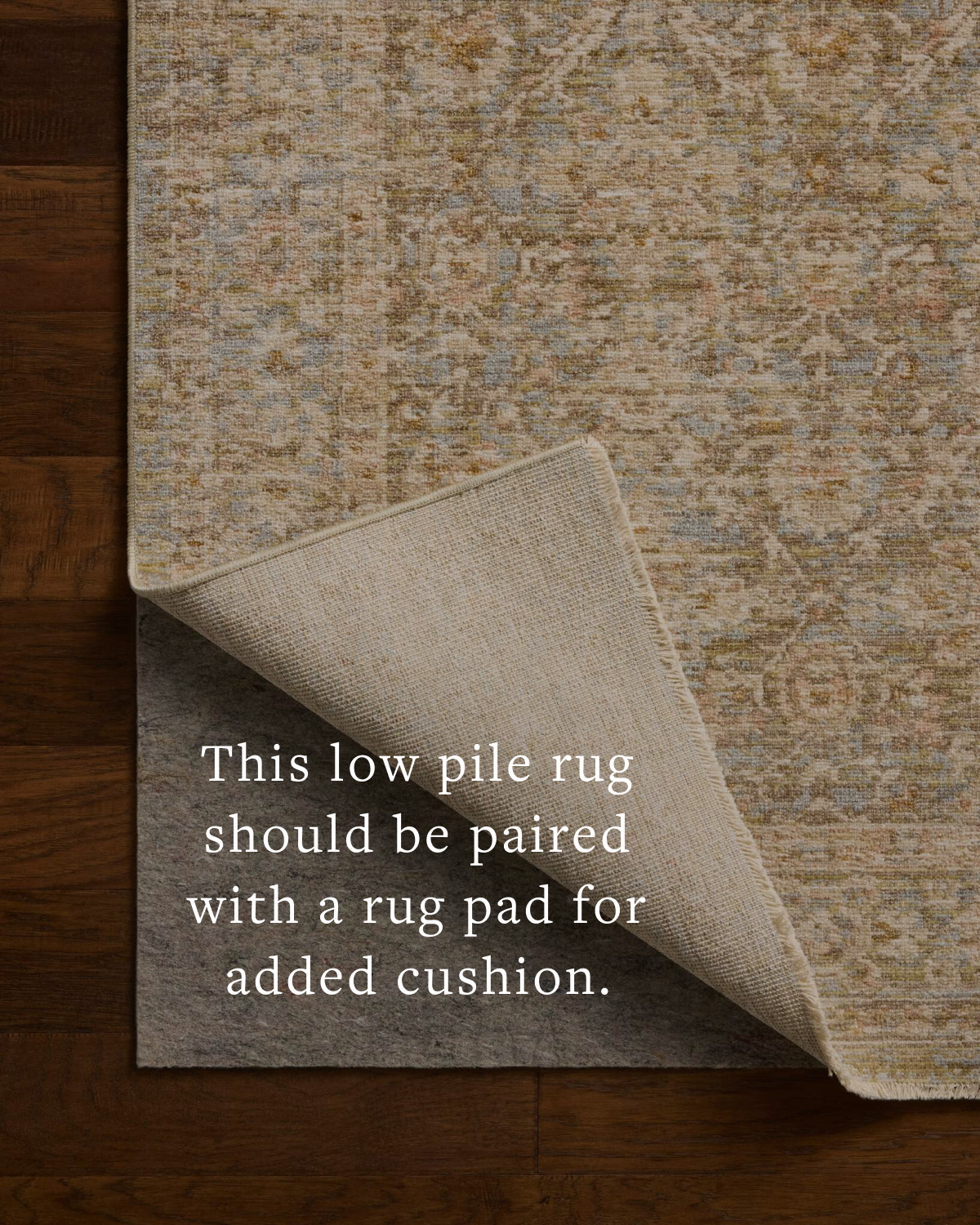Loloi Elora Runner Rug