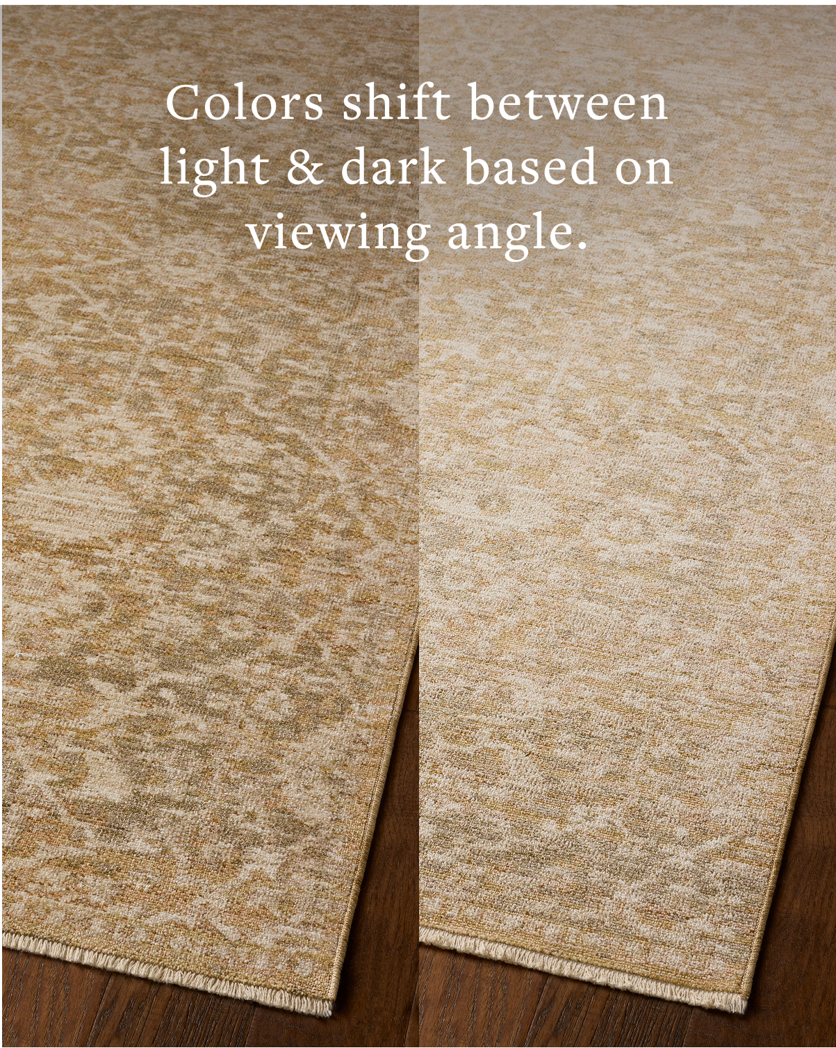 Loloi Elora Sample Rug
