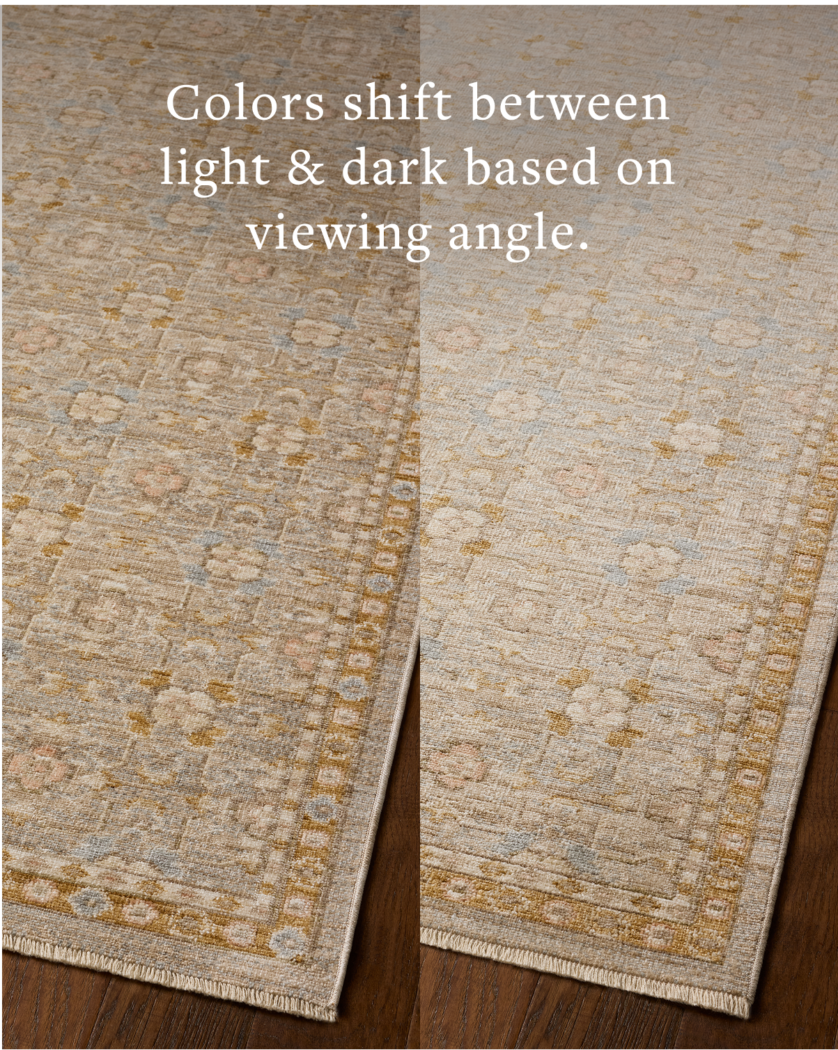 Loloi Elora Area Rug