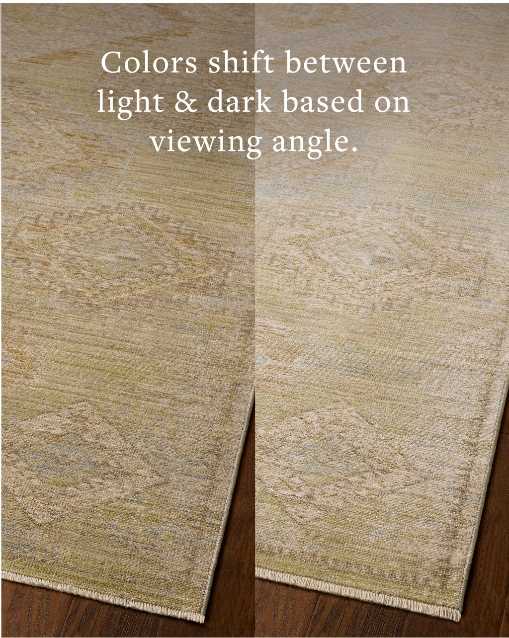 Loloi Elora Area Rug