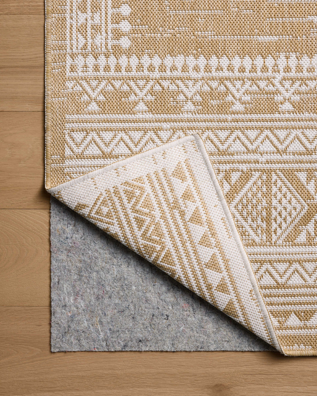 Loloi Easton Sample Rug