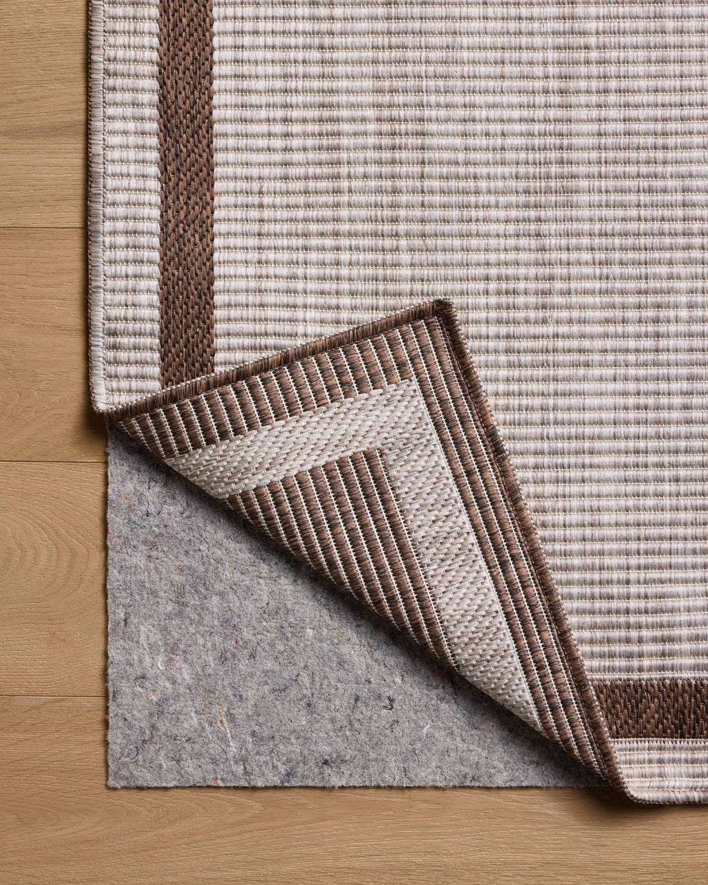 Loloi Easton Sample Rug