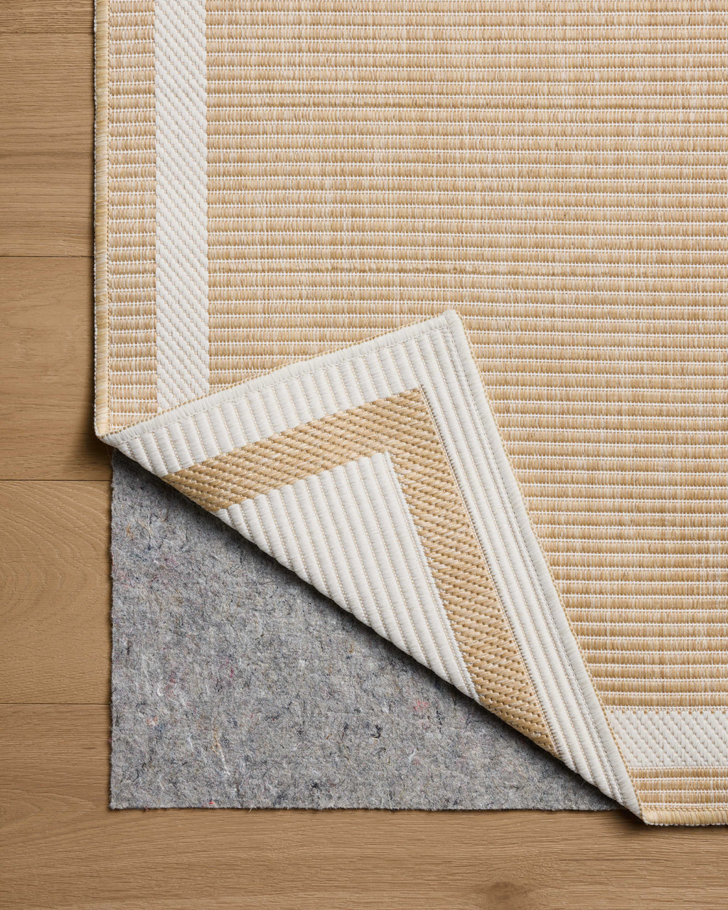 Loloi Easton Area Rug