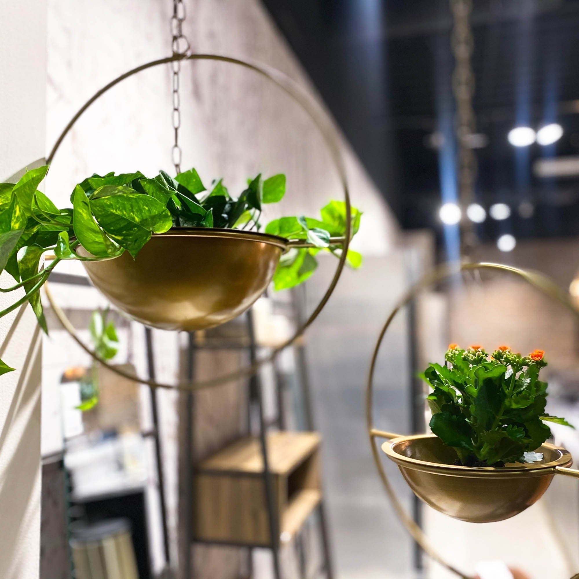 LH Home Earth Wind & Fire Hanging Pots (Set of 2)