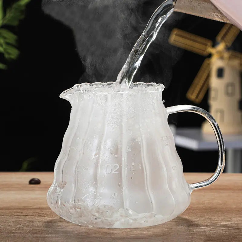 Glass Coffee Pour Over Pot with Filter