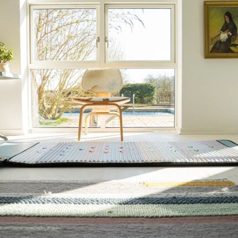 Full Body Pemf Mat with Light Therapy
