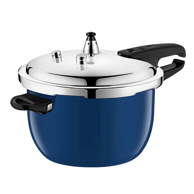 Stainless Steel Pressure Cooker for Gas and Induction