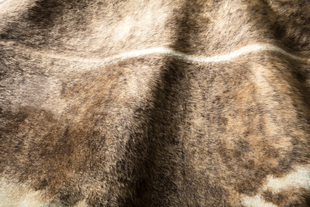 Loloi Grand Canyon Accent Rug