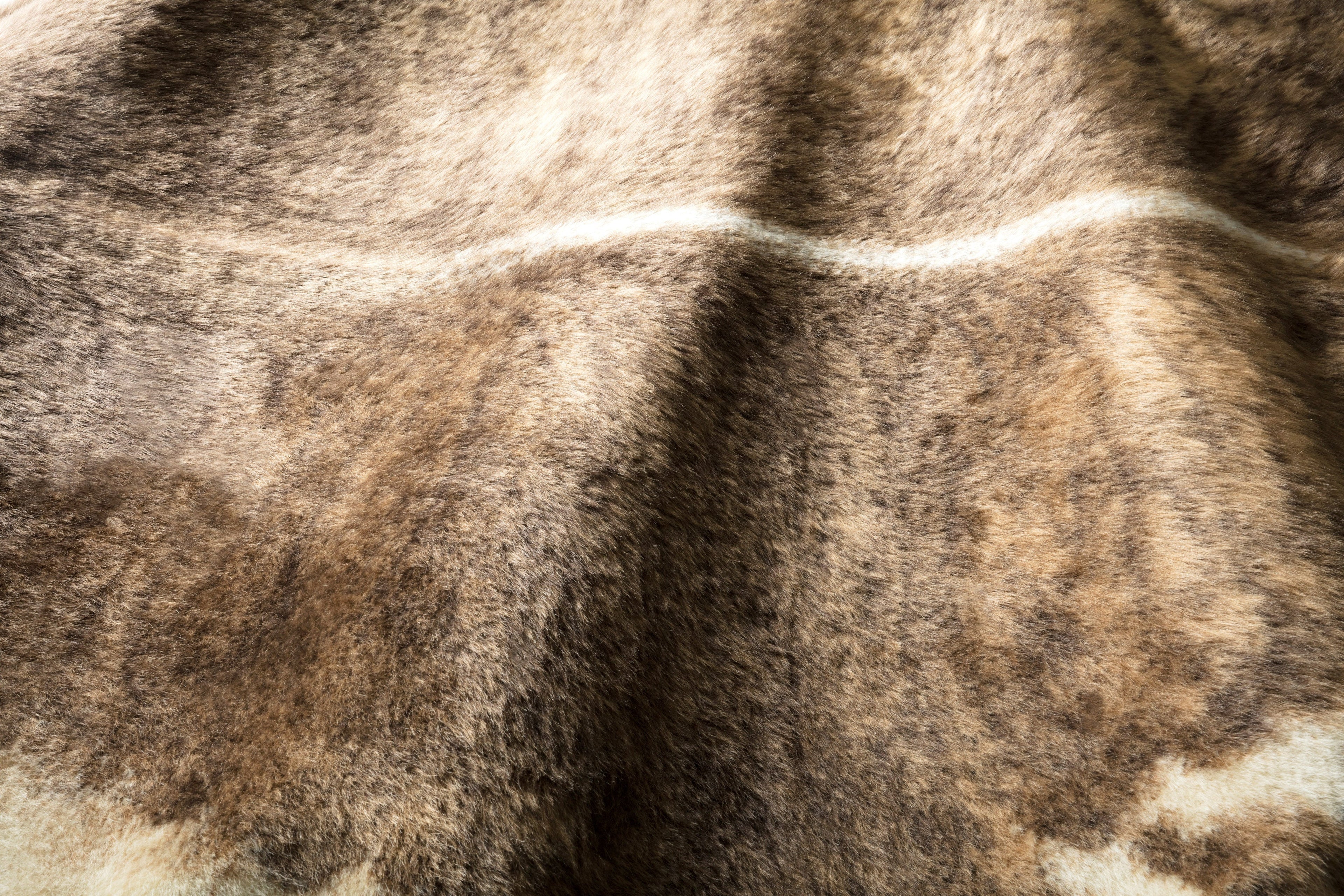 Loloi Grand Canyon Accent Rug