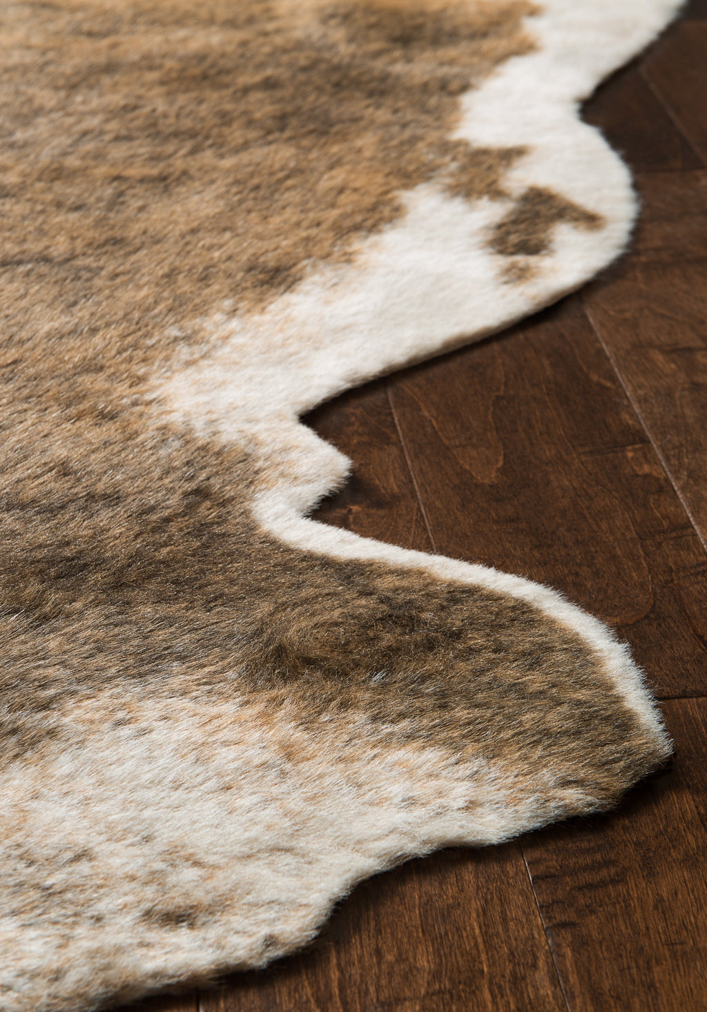 Loloi Grand Canyon Accent Rug