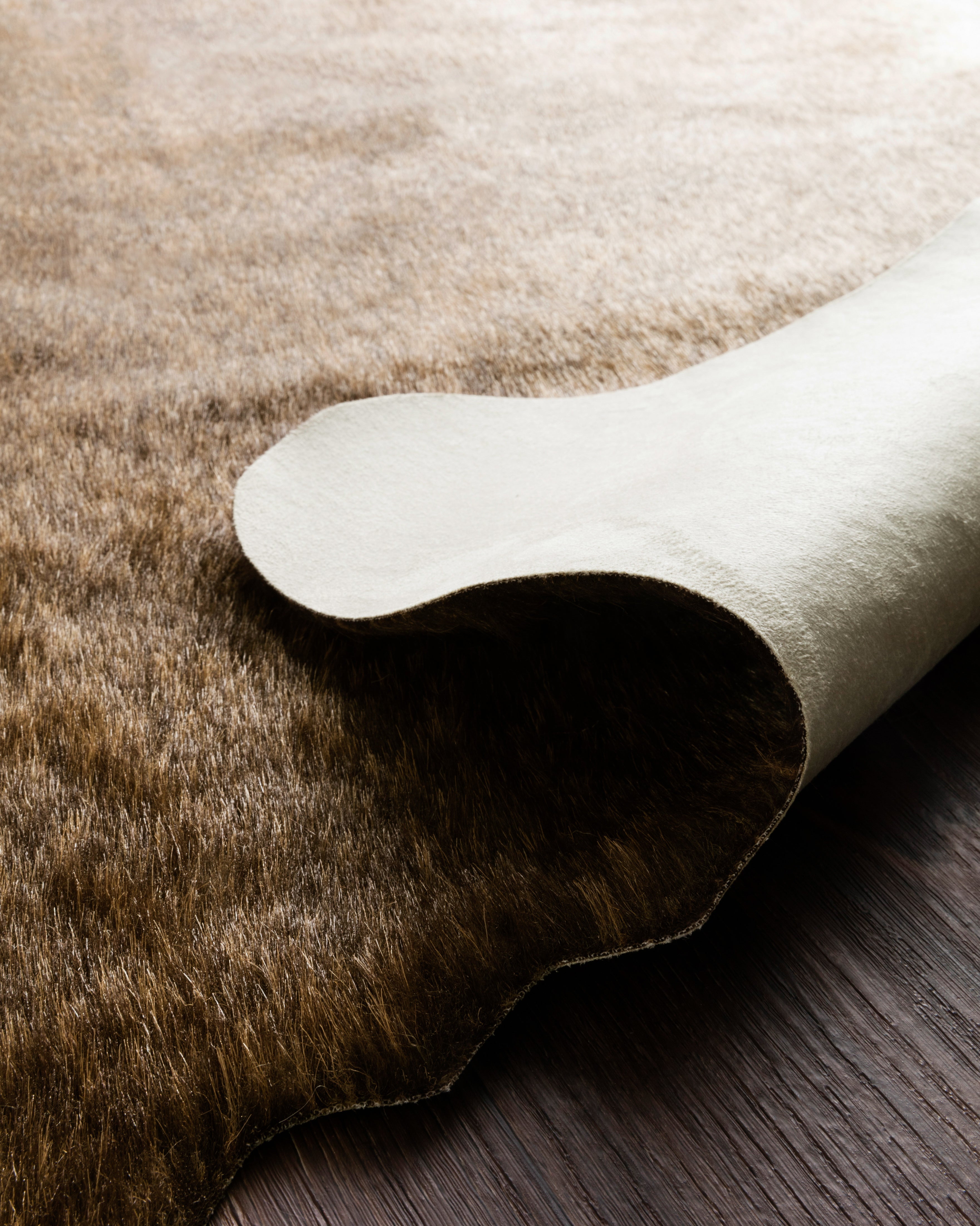 Loloi Grand Canyon Area Rug