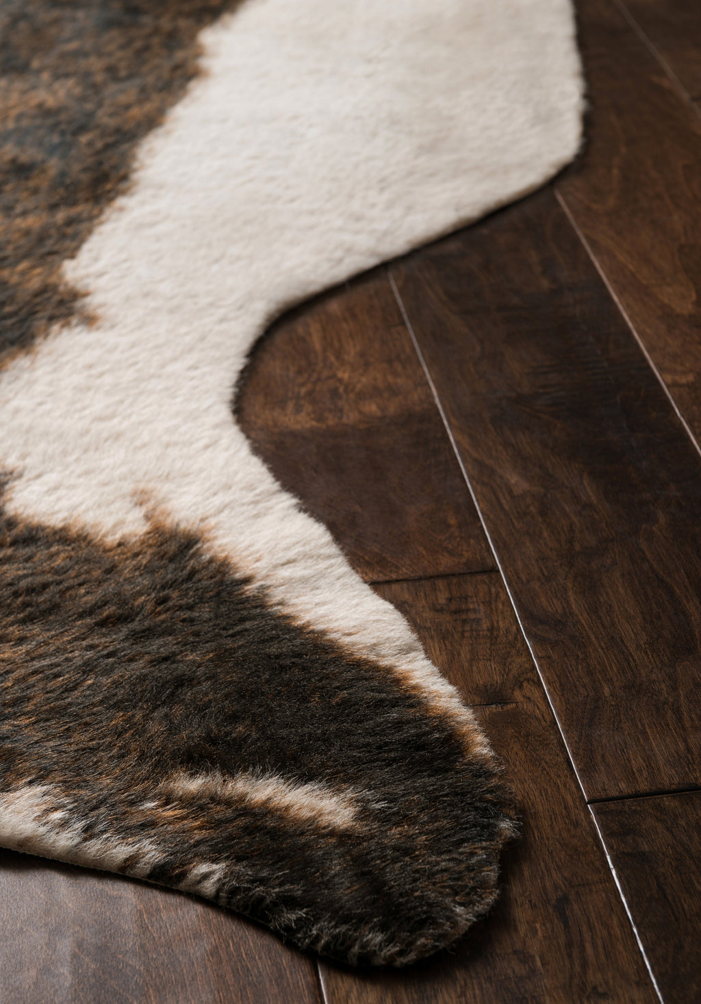 Loloi Grand Canyon Area Rug