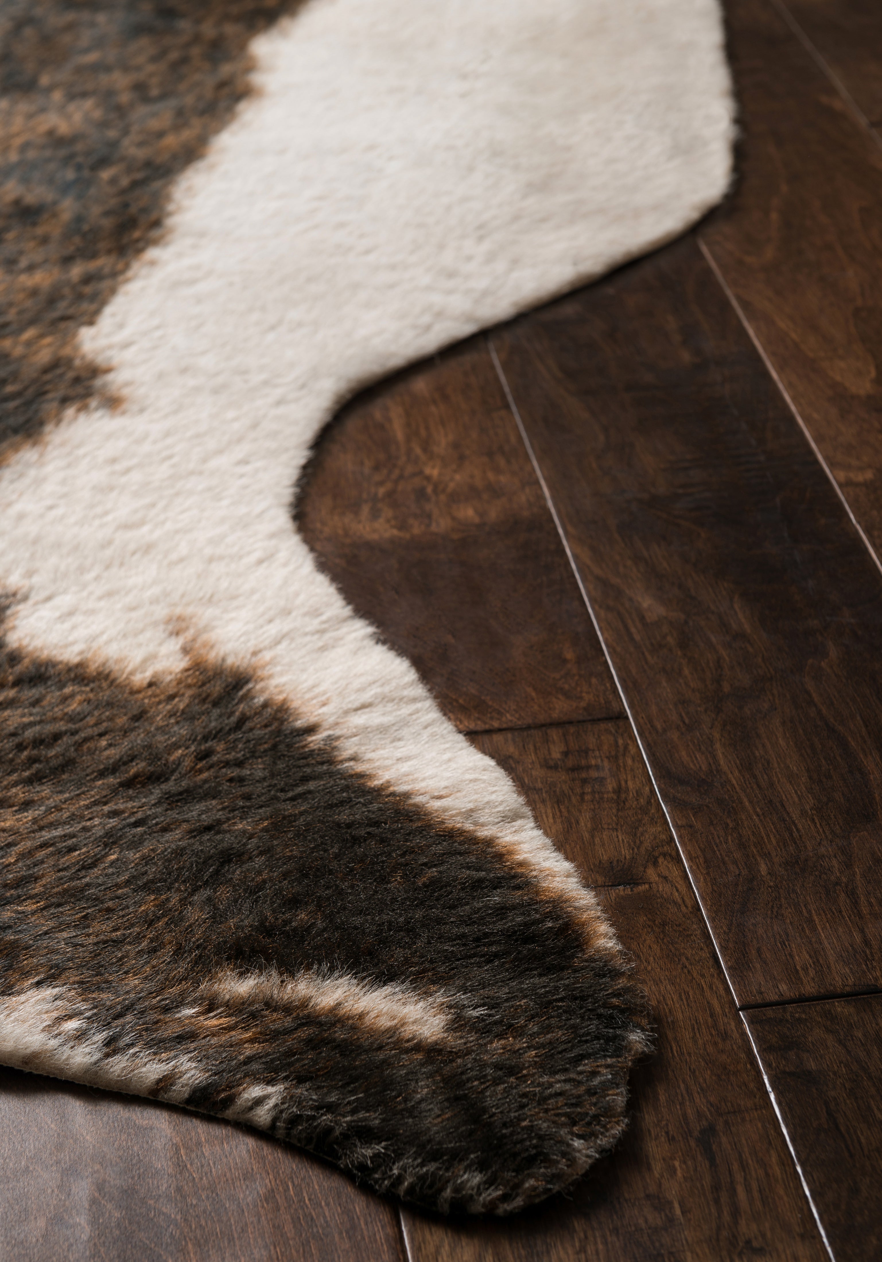 Loloi Grand Canyon Area Rug