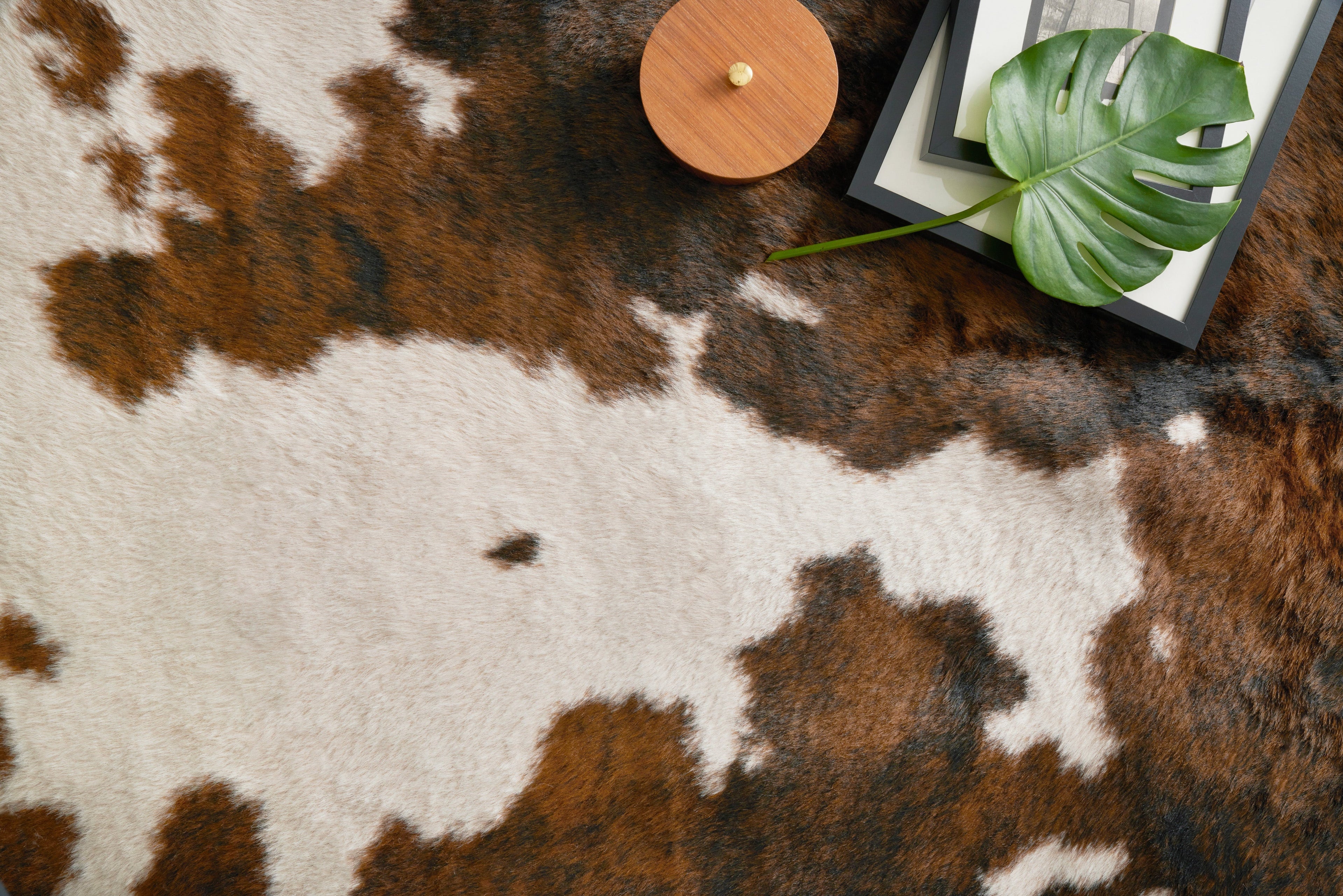 Loloi Grand Canyon Area Rug