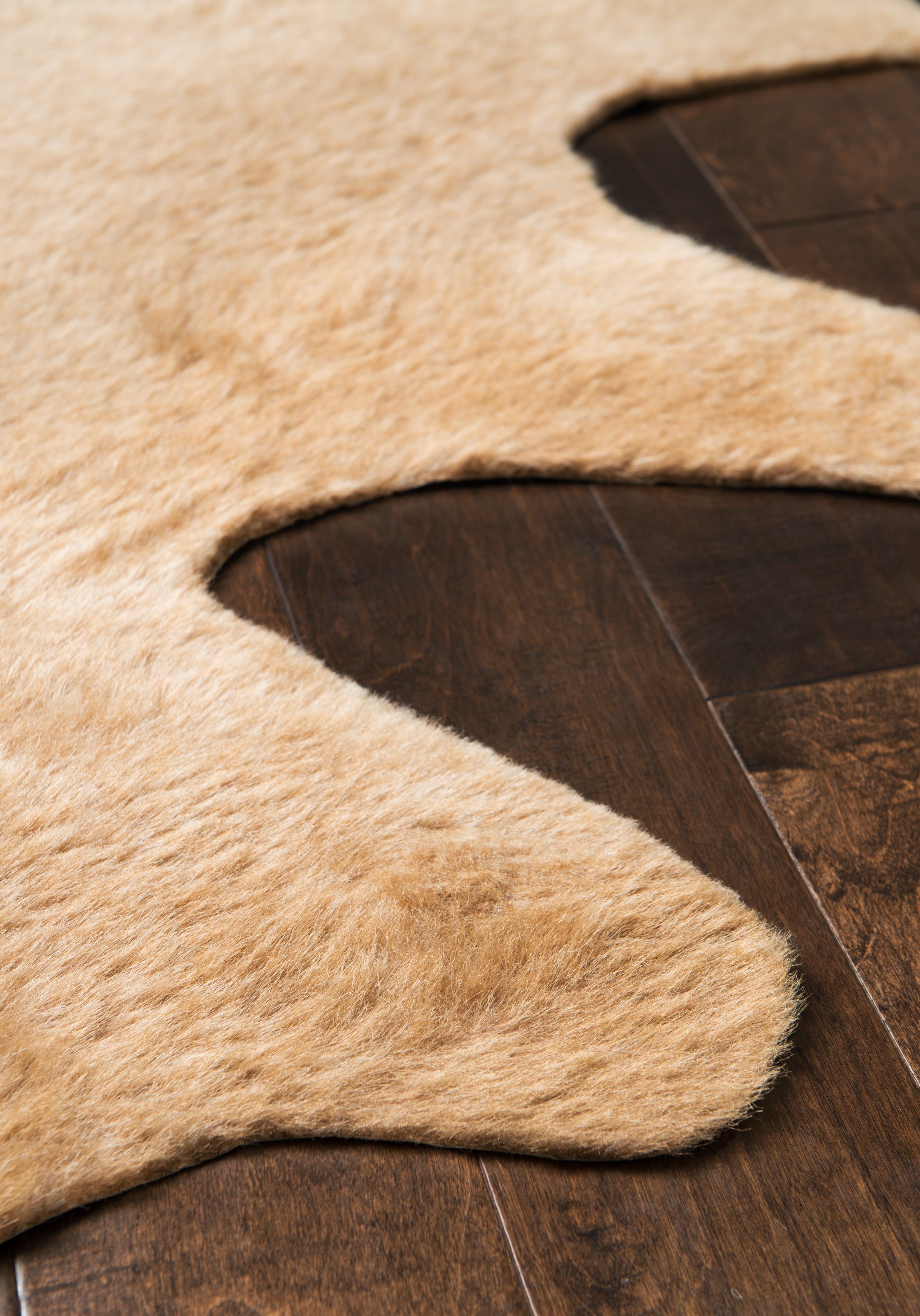 Loloi Grand Canyon Accent Rug