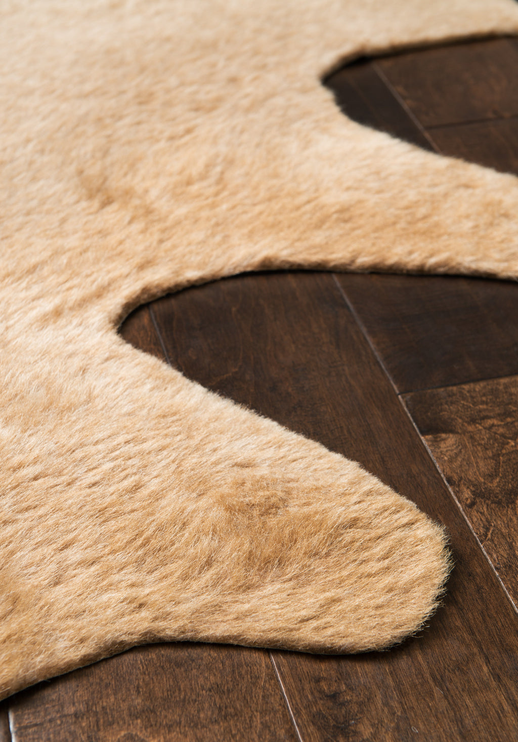 Loloi Grand Canyon Area Rug