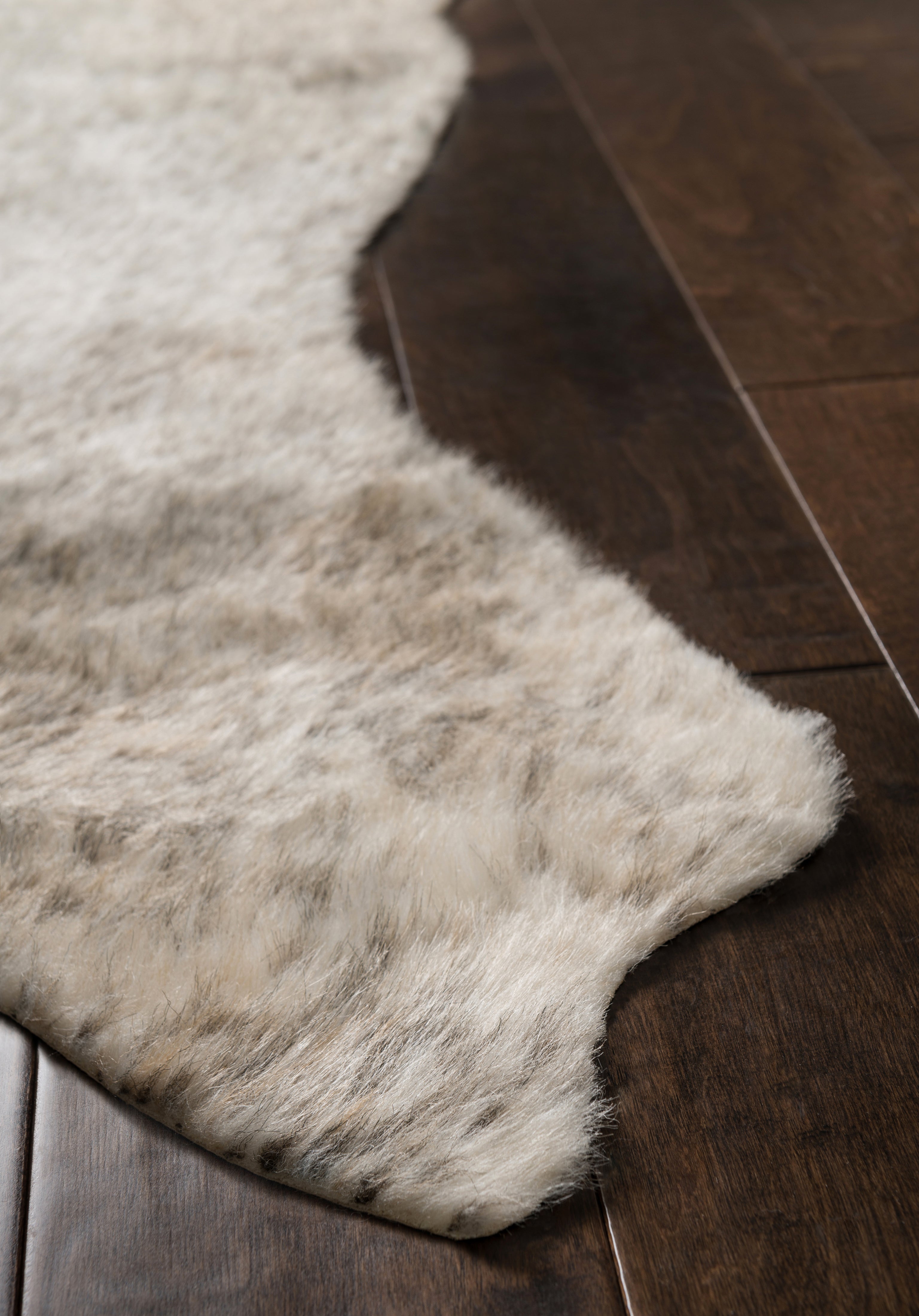 Loloi Grand Canyon Area Rug