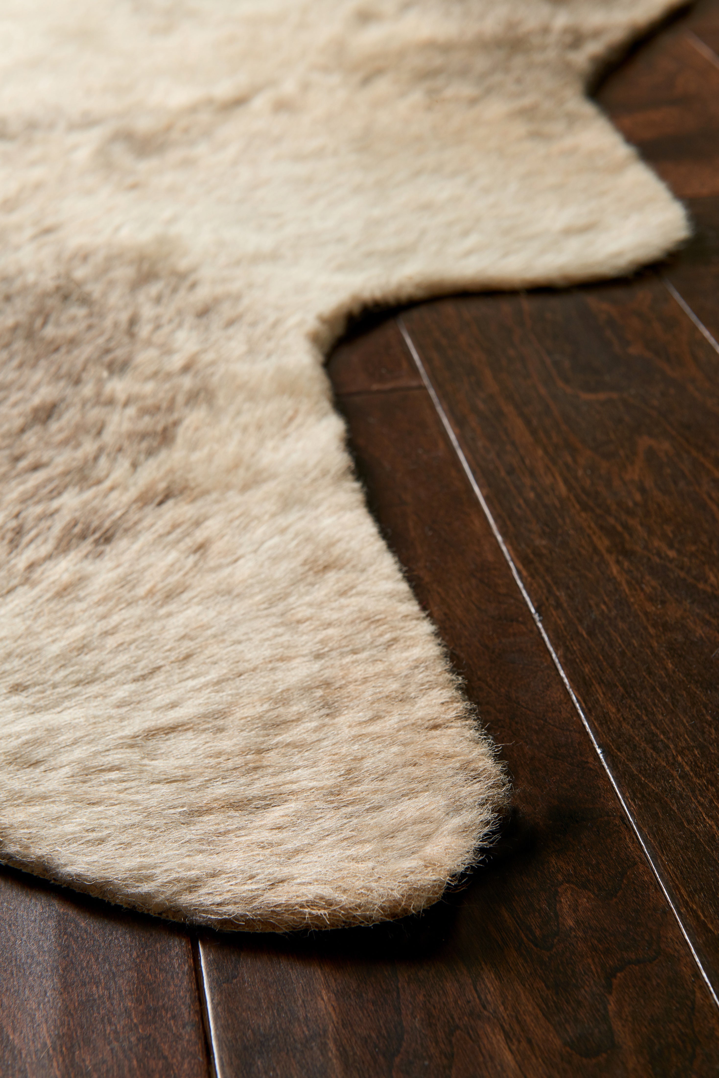 Loloi Grand Canyon Accent Rug