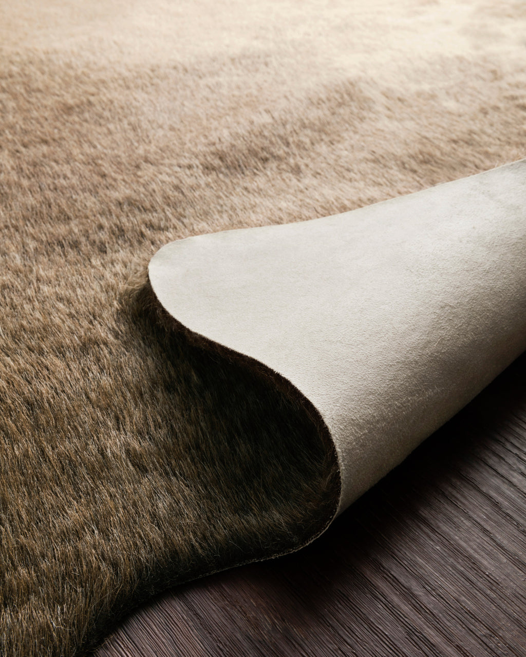 Loloi Grand Canyon Area Rug