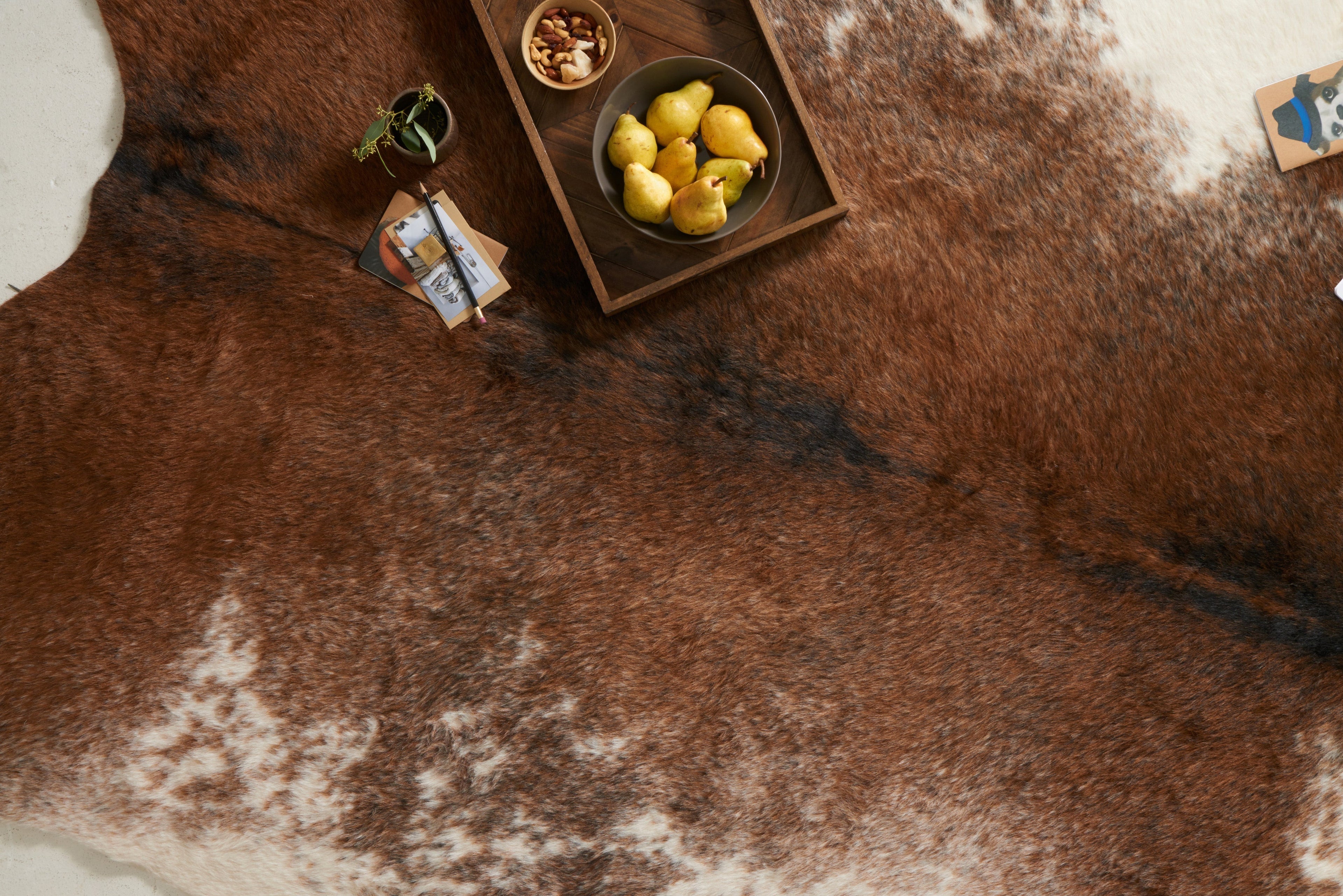 Loloi Grand Canyon Accent Rug