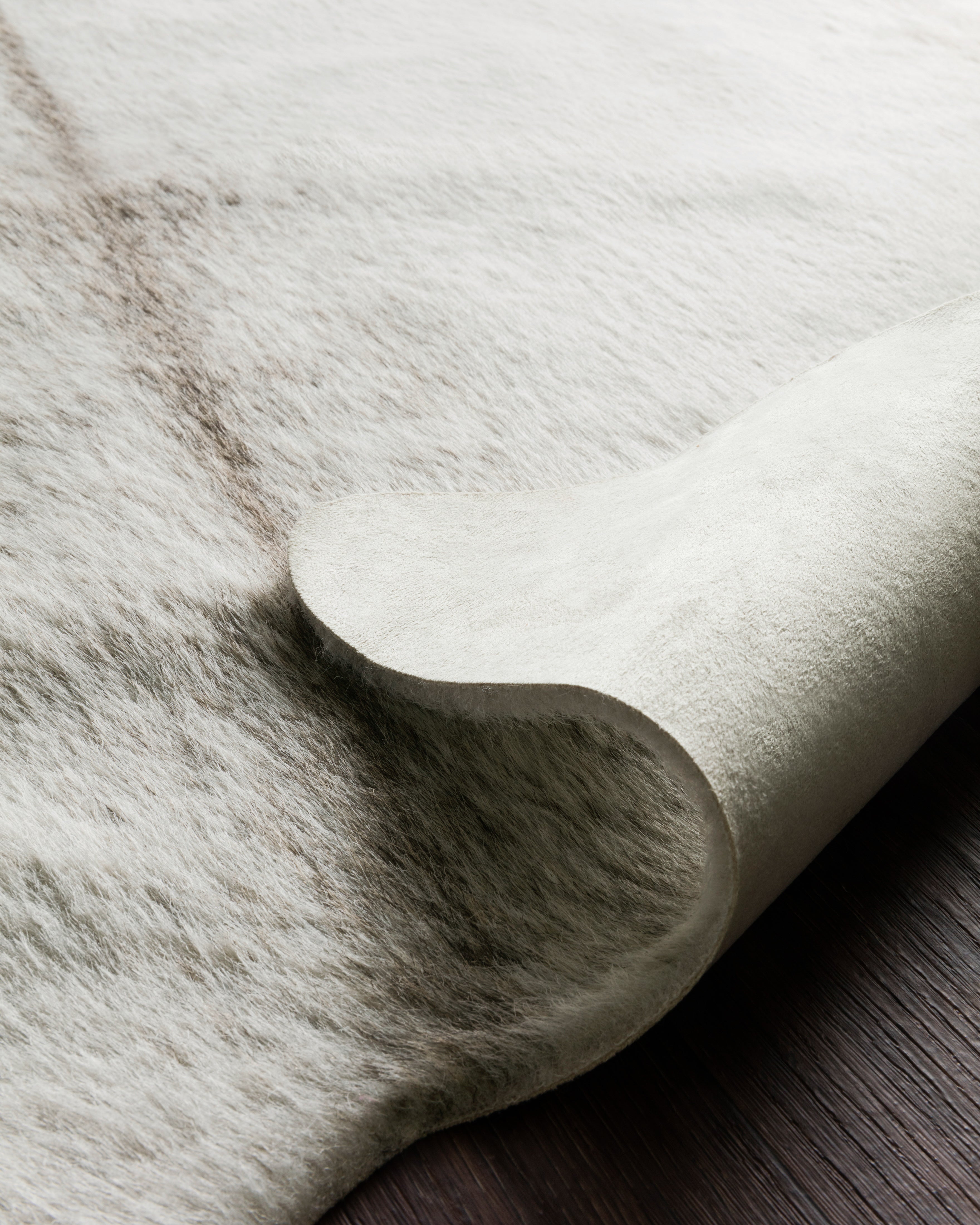 Loloi Grand Canyon Accent Rug